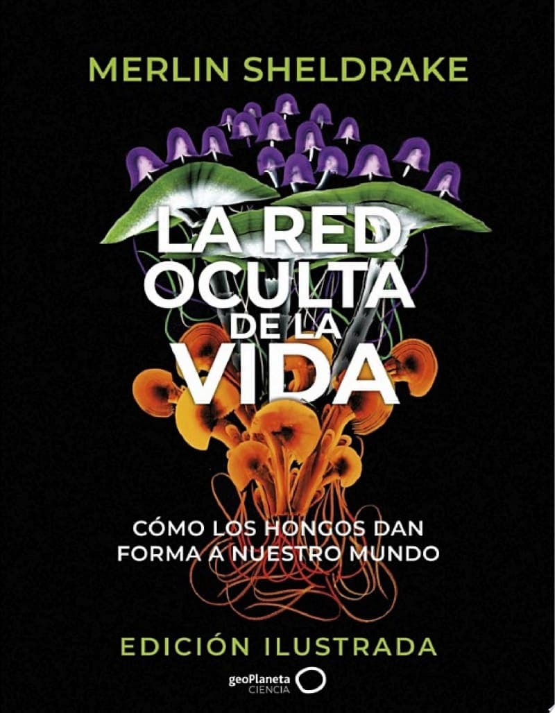 Vida Oculta